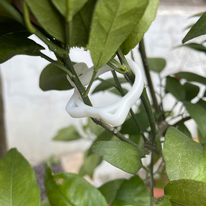 Clip De Plante En Forme De Chat - Mignon Support De Plante Pour Le Jardin Et Les Plantes D' Intérieur