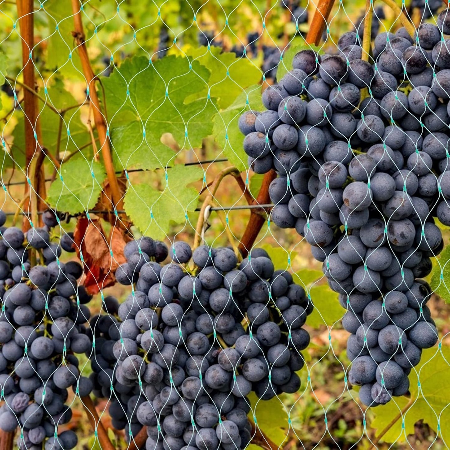 Filets De Protection Pour Les Plantes De Jardin - Filet Vert Contre Les Parasites Et Les Animaux