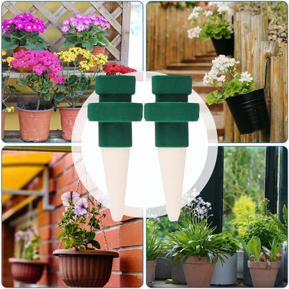 Pointes D' Auto-irrigation pour Plantes - Pointes de Goutte à Goutte Automatiques pour Bouteilles