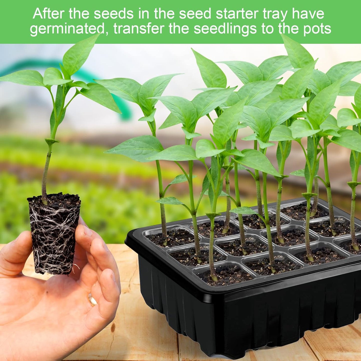 Kit De Culture Avec Lumière - Kit Complet Pour Réussir La Culture De Plantes