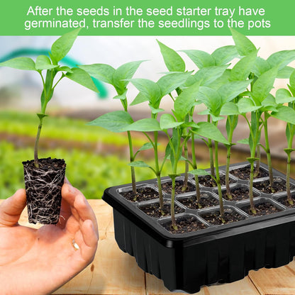 Kit De Culture Avec Lumière - Kit Complet Pour Réussir La Culture De Plantes