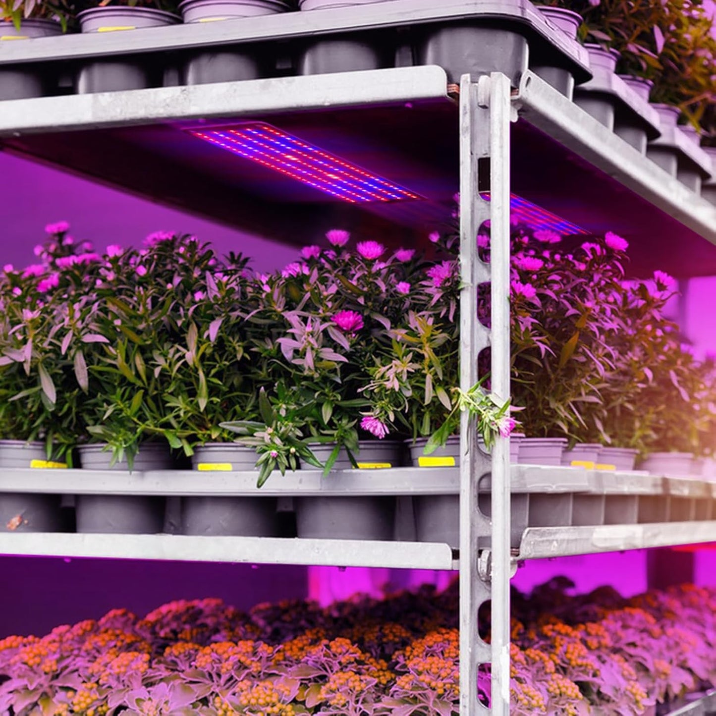 Panneau D' Éclairage Led Quantum pour Plantes pour la Croissance et la Stimulation des Couleurs - avec Mode D' Éclairage Réglable