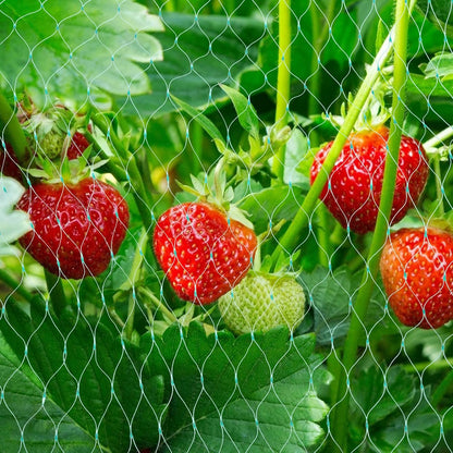 Filets De Protection Pour Les Plantes De Jardin - Filet Vert Contre Les Parasites Et Les Animaux