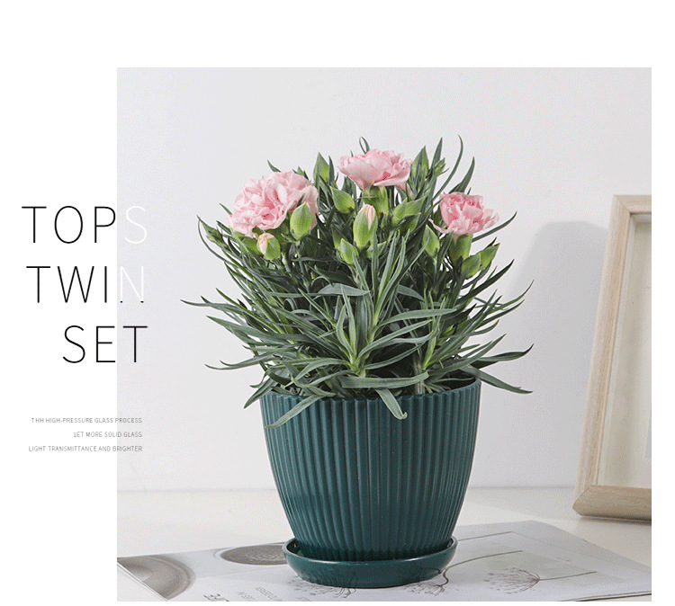 Pot De Fleurs Avec Structure Rainurée Et Soucoupe - Pot En Plastique Solide Pour Les Plantes