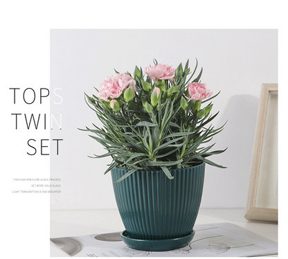 Pot De Fleurs Avec Structure Rainurée Et Soucoupe - Pot En Plastique Solide Pour Les Plantes