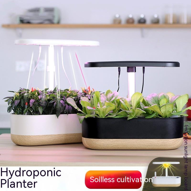 Kit Hydroponique Intelligent Pour L' Intérieur - Culture De Plantes Sans Terre Pour La Maison