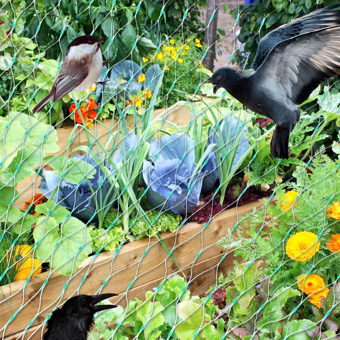 Filets De Protection Pour Les Plantes De Jardin - Filet Vert Contre Les Parasites Et Les Animaux