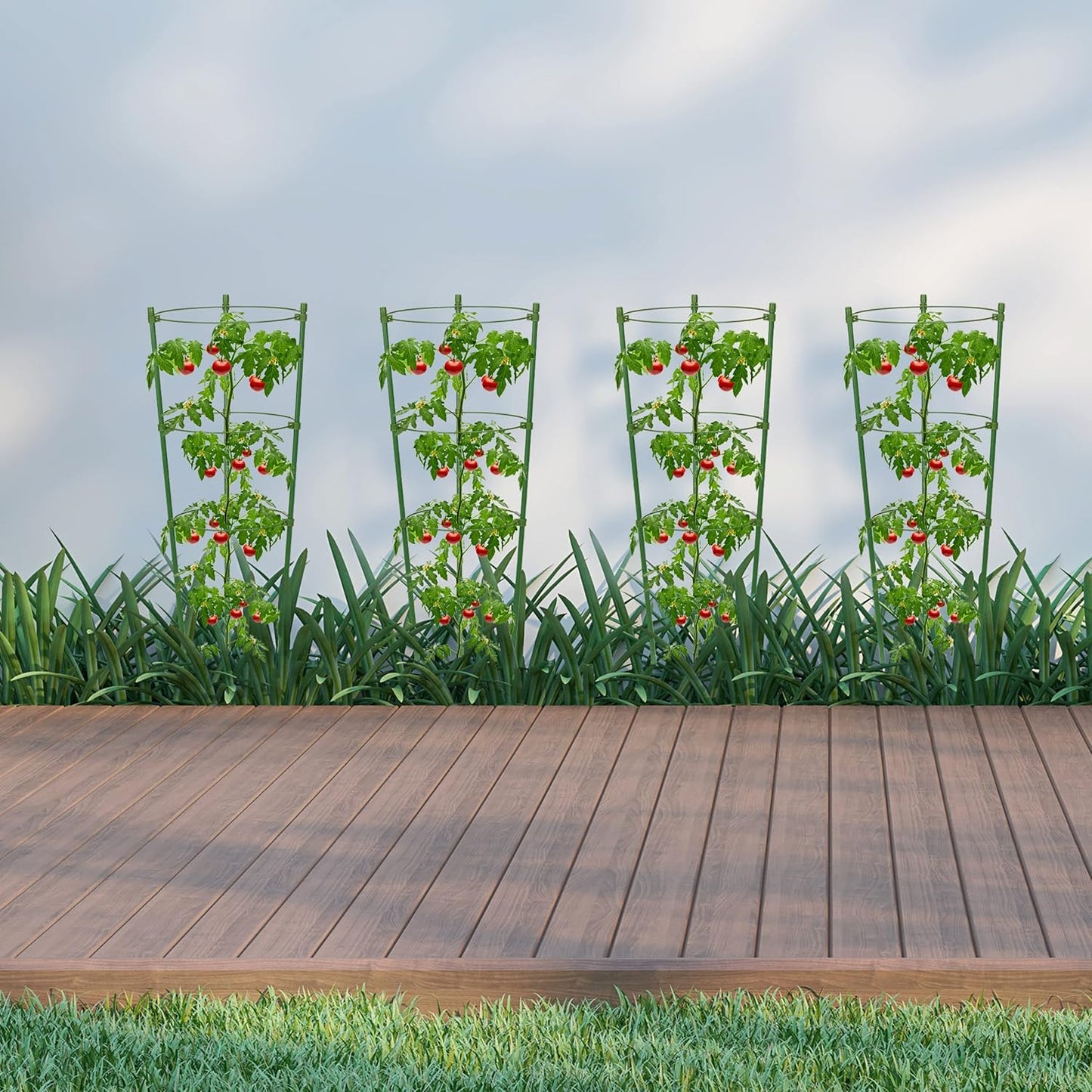 Cadre Pour Plantes Grimpantes - Cadre Stable À Anneaux De Soutien Pour Plantes Grimpantes