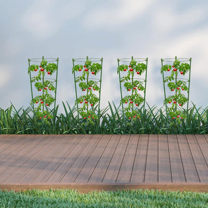 Cadre Pour Plantes Grimpantes - Cadre Stable À Anneaux De Soutien Pour Plantes Grimpantes