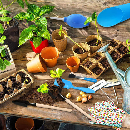 Kit D' Outils pour le Jardin de Succulentes avec Vaporisateur et Accessoires