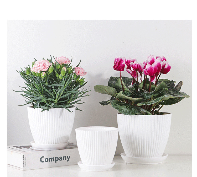 Pot De Fleurs Avec Structure Rainurée Et Soucoupe - Pot En Plastique Solide Pour Les Plantes