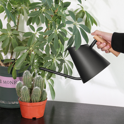 Arrosoir Moderne avec Poignée en Bois - Arrosoir Élégant pour les Plantes du Jardin
