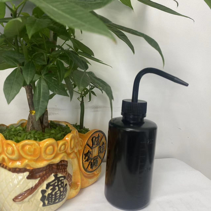 Bouteille D' Arrosage Spot Squeeze de 500 Ml - Bouteille D' Arrosage Compacte pour un Arrosage et un Dosage Précis