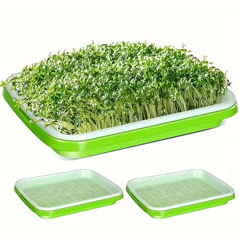 Boîtes De Germination Avec Couvercle - Plateau De Graines À Double Couche Pour Une Germination Efficace Des Graines
