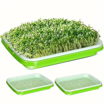Boîtes De Germination Avec Couvercle - Plateau De Graines À Double Couche Pour Une Germination Efficace Des Graines