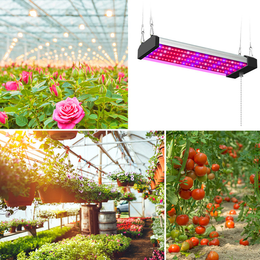 Lampe à LED pour Plantes avec Éclairage Plein - Spectre et Interrupteur à Tirette pour une Croissance Optimale des Plantes
