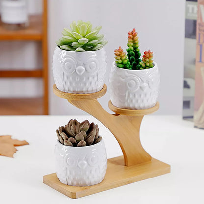 Porte-plantes Décoratif en Bois - Pots à Plantes au Design de Hibou pour Succulentes et Plantes D' Intérieur
