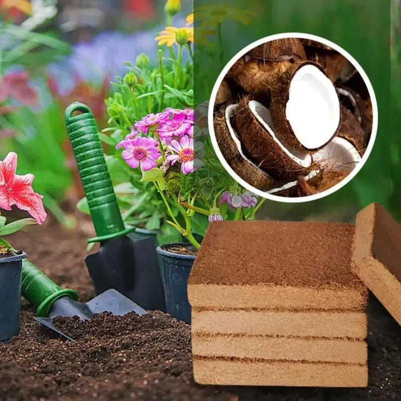 Terreau de Noix de Coco Fertilisé