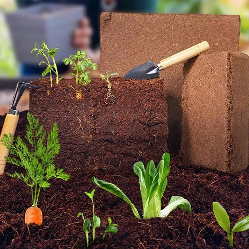 Terreau de Noix de Coco Fertilisé