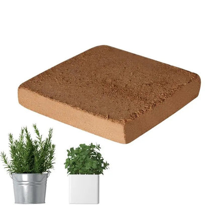 Terreau de Noix de Coco Fertilisé