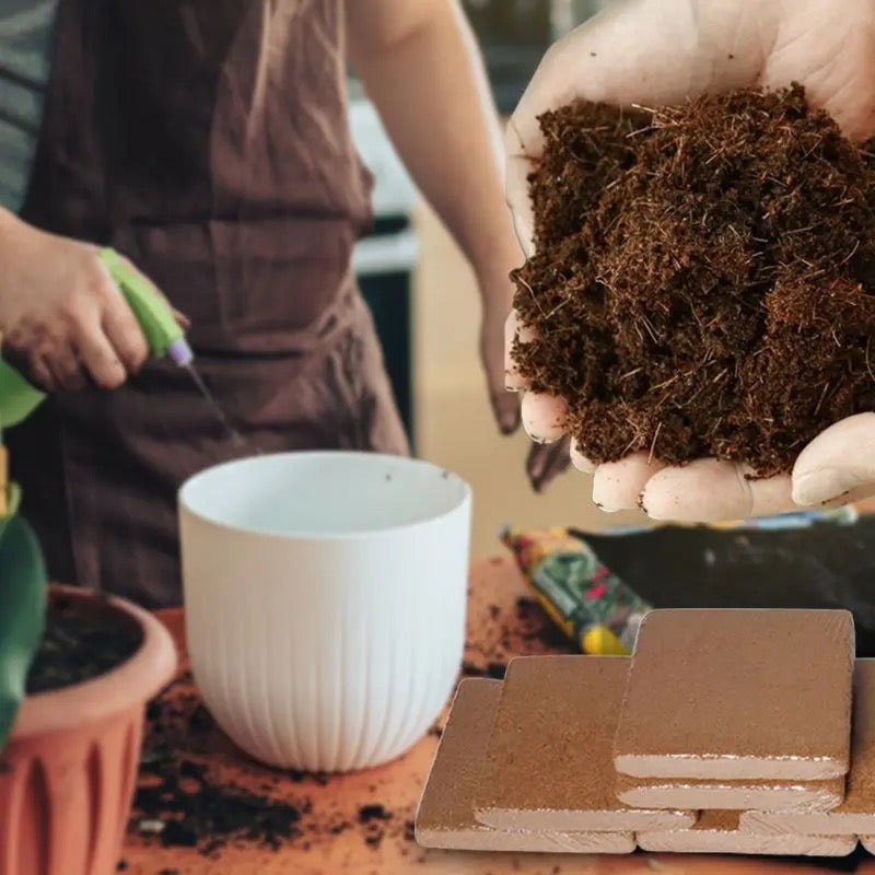 Terreau de Noix de Coco Fertilisé