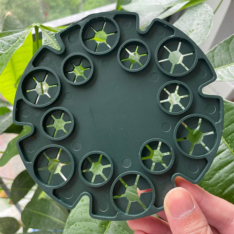 Anneau de Support de Plantes pour Tiges de Bambou - Support Stable pour les Tomates et les Plantes Grimpantes