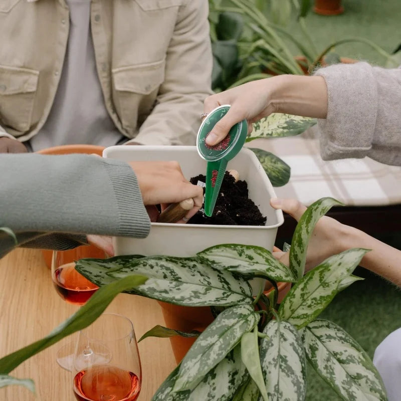 Distributeur de Graines Ajustable - Distributeur de Graines de Jardin Précis pour une Utilisation Facile