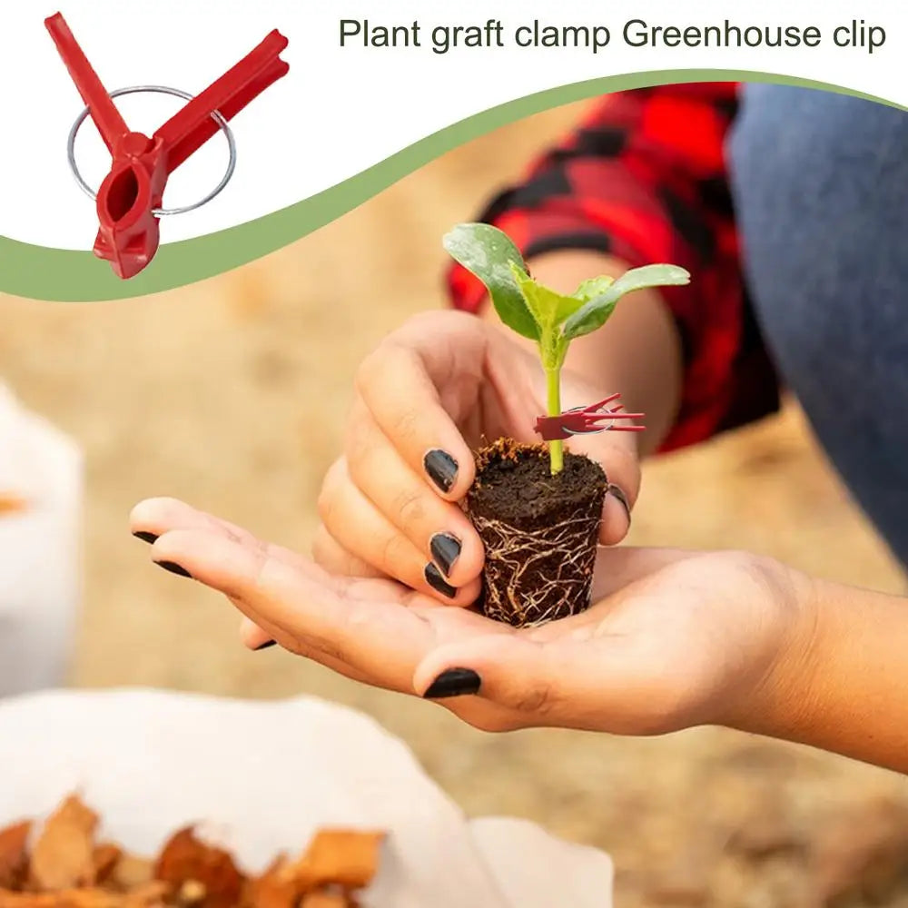 Clips de Greffage en Plastique pour les Plantes de Jardin - Idéal pour les Légumes et les Soins aux Plantes