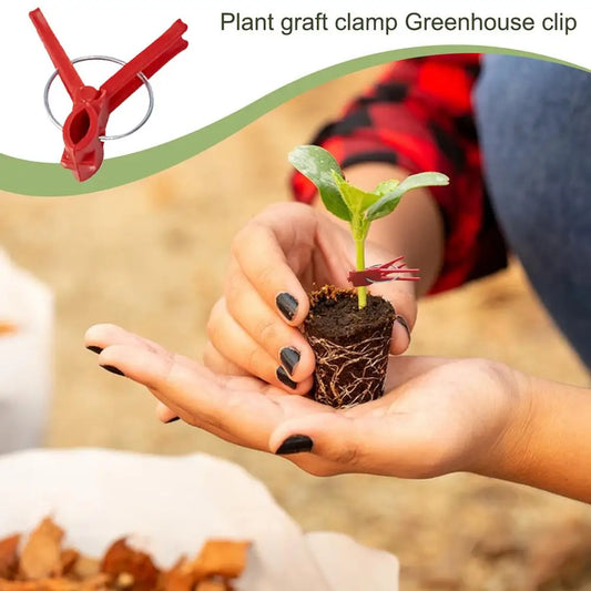 Clips de Greffage en Plastique pour les Plantes de Jardin - Idéal pour les Légumes et les Soins aux Plantes