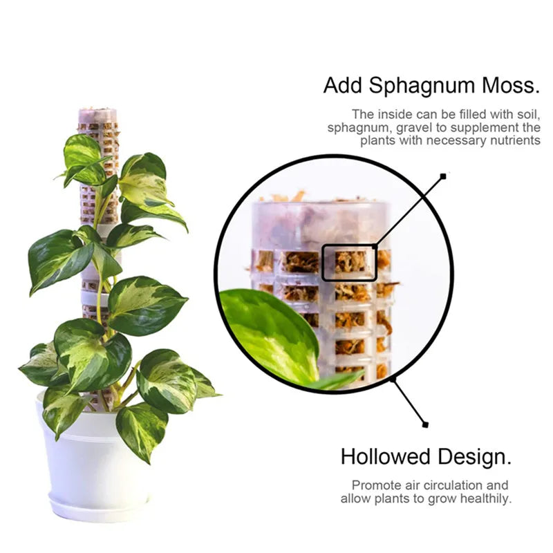 Piliers pour Plantes Grimpantes et Vertes - Piliers de Soutien pour la Culture Verticale de Plantes