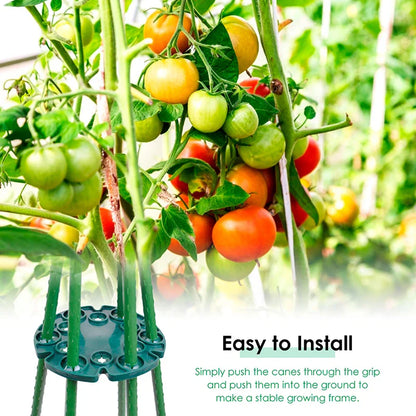 Anneau de Support de Plantes pour Tiges de Bambou - Support Stable pour les Tomates et les Plantes Grimpantes