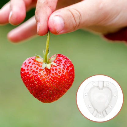 Moule À Légumes Herzform - Plateau De Forme Créative Pour Les Légumes Et Les Fruits
