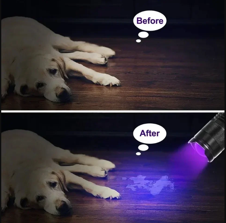 Lampe de Poche Led Uv - Lampe Ultraviolette pour la Détection de Taches et D' Urine D' Animaux Domestiques