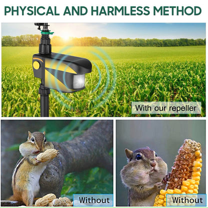 Arrosoir pour L' Arrosage du Jardin - Arrosoir Réglable sur Pied