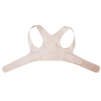Stabilisateur Dorsal Caché