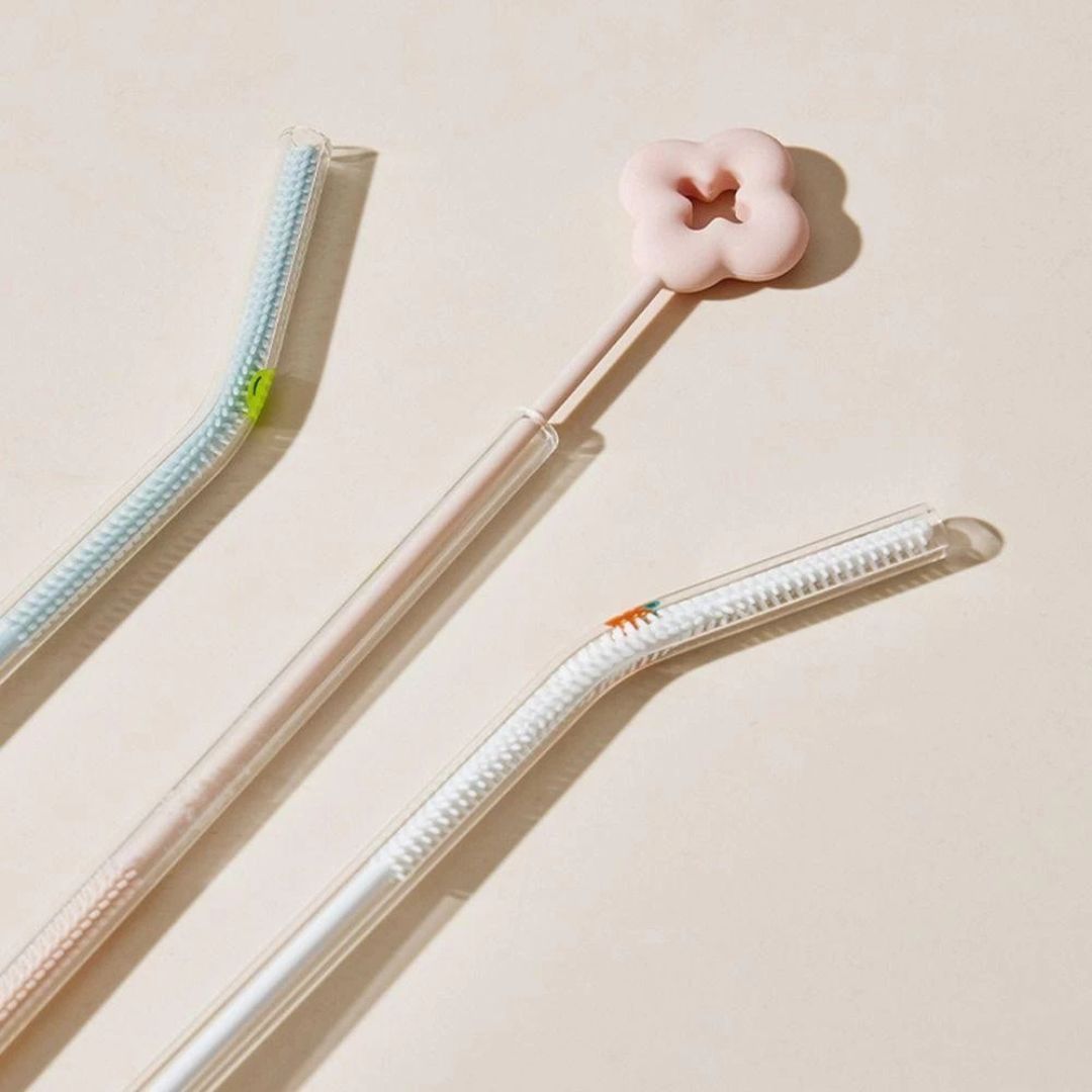 Brosse de Nettoyage pour Paille , Lot de 3