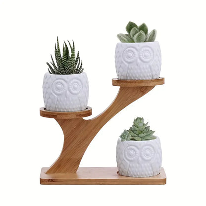 Porte-plantes Décoratif en Bois - Pots à Plantes au Design de Hibou pour Succulentes et Plantes D' Intérieur