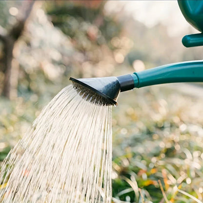 Arrosoir De Grande Capacité Avec Long Bec Verseur Pour Un Arrosage Et Un Soin Des Plantes Précis