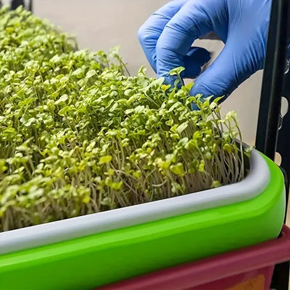 Boîtes De Germination Avec Couvercle - Plateau De Graines À Double Couche Pour Une Germination Efficace Des Graines