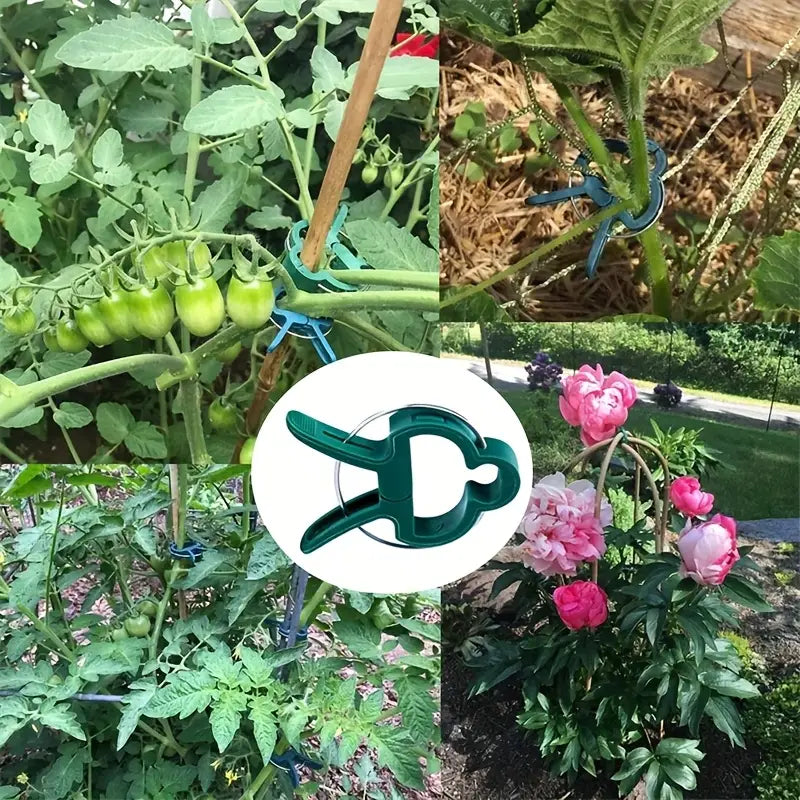 Set de Clips de Jardinage - Boucles de Plantes pour le Soutien des Plantes et L' Entretien du Jardin