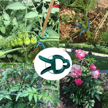 Set de Clips de Jardinage - Boucles de Plantes pour le Soutien des Plantes et L' Entretien du Jardin