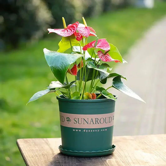 Pot de Plantes Robuste en Plastique - Pot de Fleurs Résistant aux Intempéries pour le Jardin et le Balcon