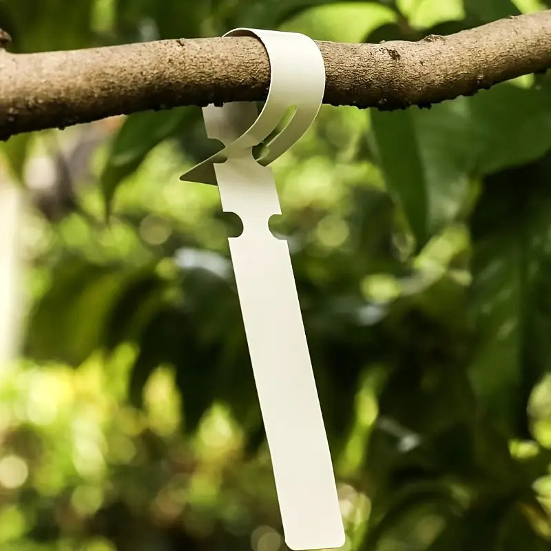 Étiquettes Végétales Réutilisables en Plastique pour le Jardin et le Marquage des Arbres