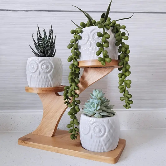 Porte-plantes Décoratif en Bois - Pots à Plantes au Design de Hibou pour Succulentes et Plantes D' Intérieur