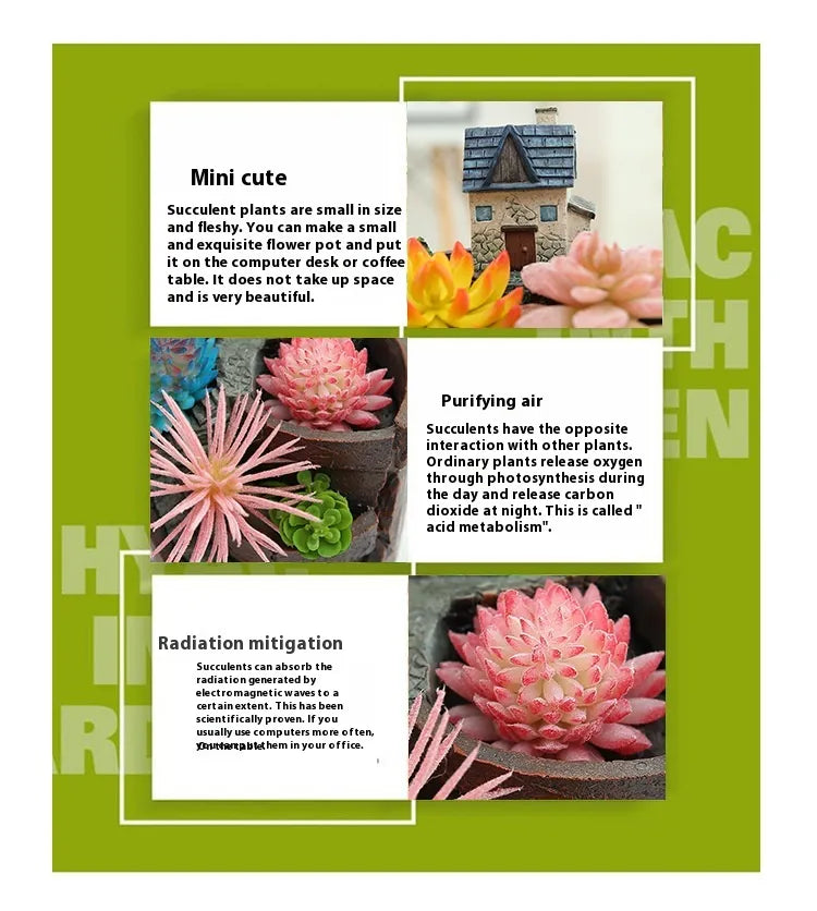 Pot De Fleurs Décoratif Succulent Pour Mini Jardin - Pot De Plantes Bonsaï Pour Micro-Paysage Et Jardin