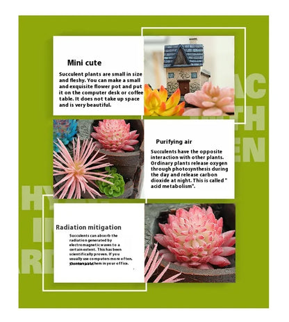 Pot De Fleurs Décoratif Succulent Pour Mini Jardin - Pot De Plantes Bonsaï Pour Micro-Paysage Et Jardin