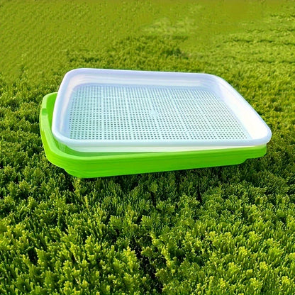 Boîtes De Germination Avec Couvercle - Plateau De Graines À Double Couche Pour Une Germination Efficace Des Graines