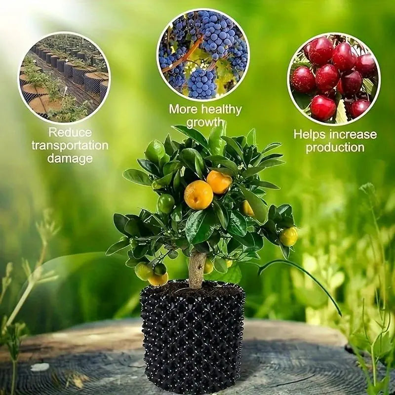 Contrôleur de Racines pour les Plantes et L' Aménagement Paysager pour Favoriser une Croissance Saine