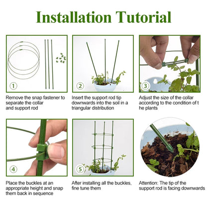 Cadre Pour Plantes Grimpantes - Cadre Stable À Anneaux De Soutien Pour Plantes Grimpantes