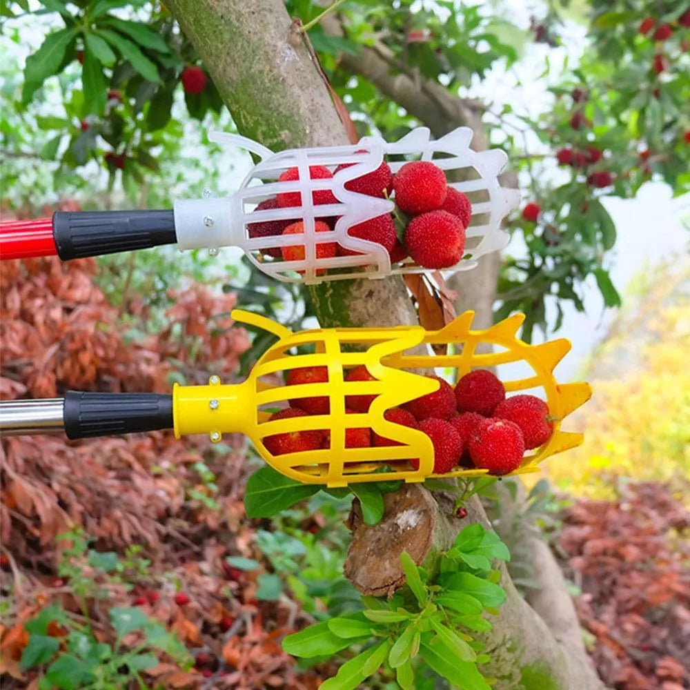 Aide à la Récolte des Fruits - Outil Pratique de Préhension des Fruits pour les Arbres et les Arbustes